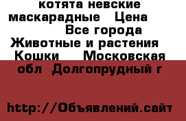 котята невские маскарадные › Цена ­ 18 000 - Все города Животные и растения » Кошки   . Московская обл.,Долгопрудный г.